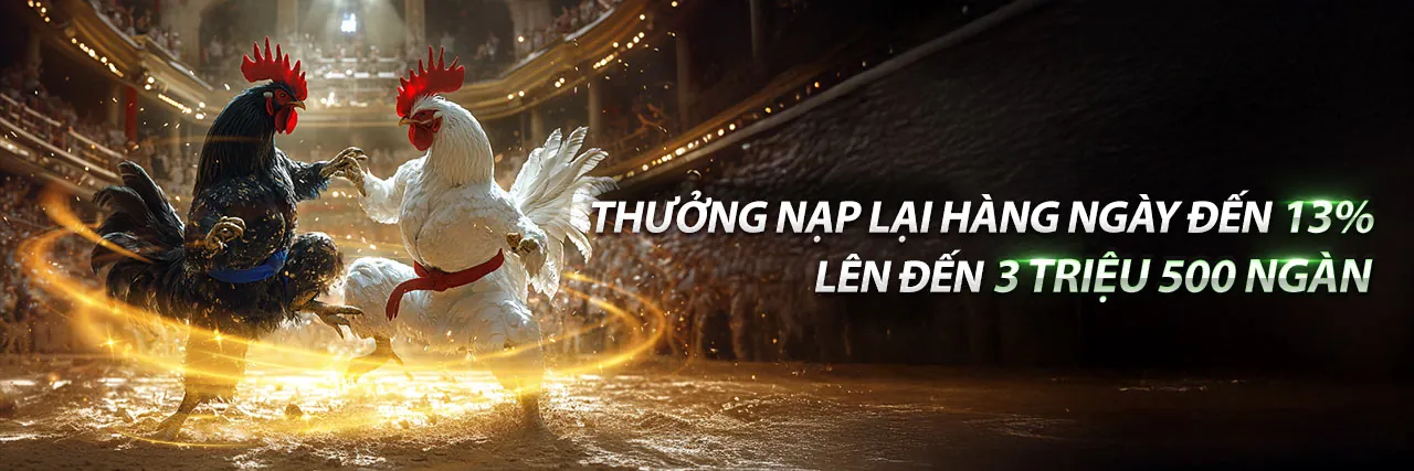 Sân vận động với ánh đèn rực rỡ và logo Solarbet Code