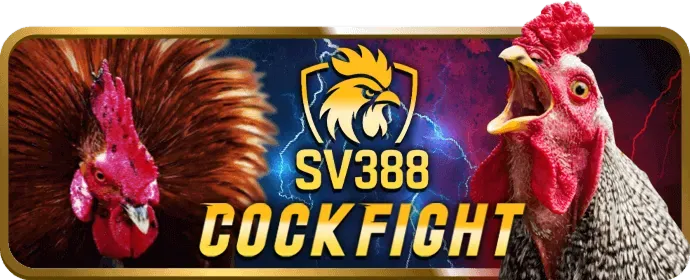 Hình ảnh người dùng kiểm soát cài đặt quyền riêng tư của họ trên solarbet code